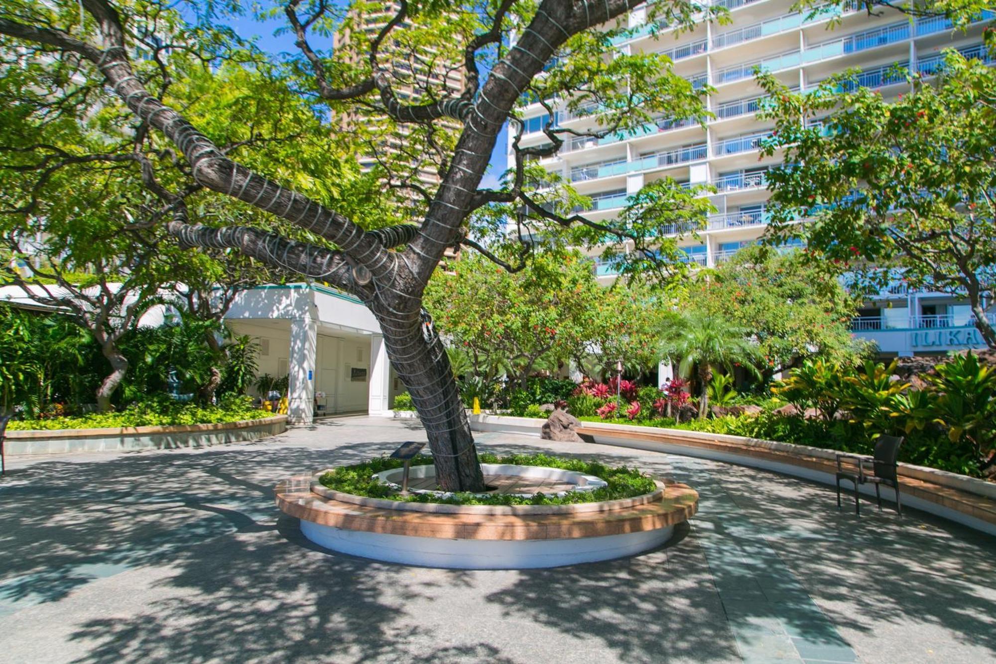 Ilikai Tower 1340 Lagoon View 1Br Honolulu Exterior photo